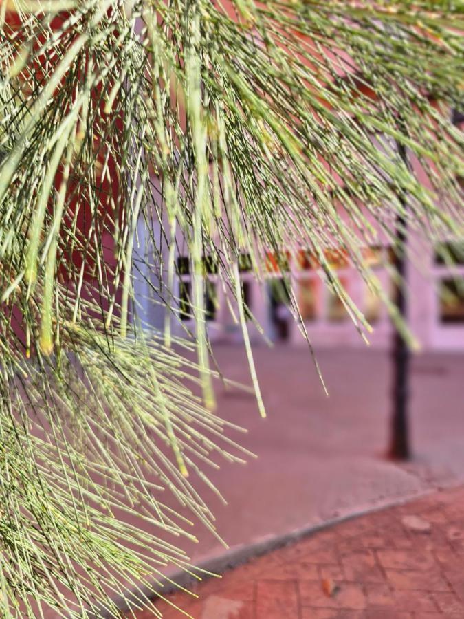 Ferienwohnung Lounge Garden Sea Mint Fresh Valencia Exterior foto
