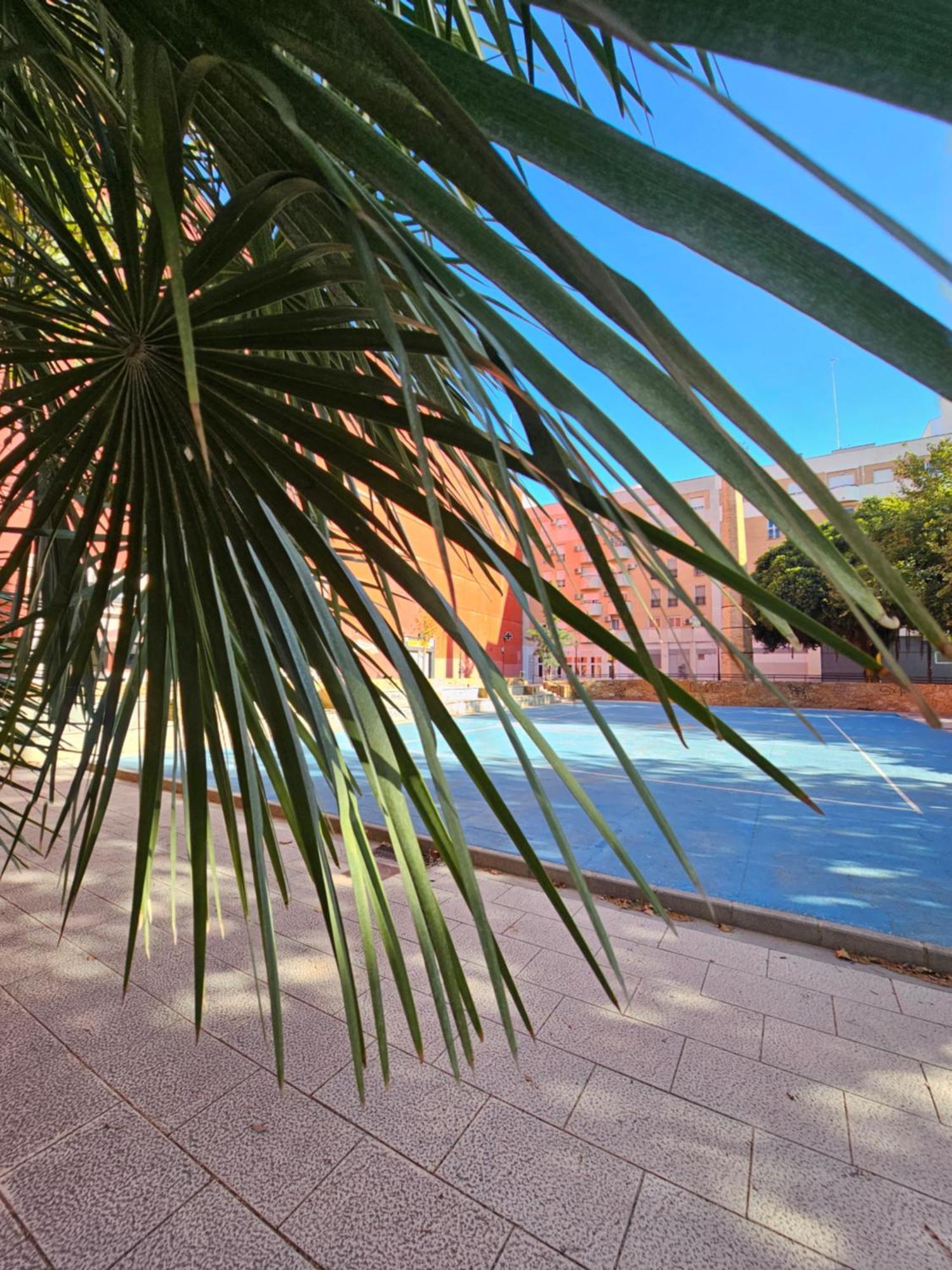 Ferienwohnung Lounge Garden Sea Mint Fresh Valencia Exterior foto